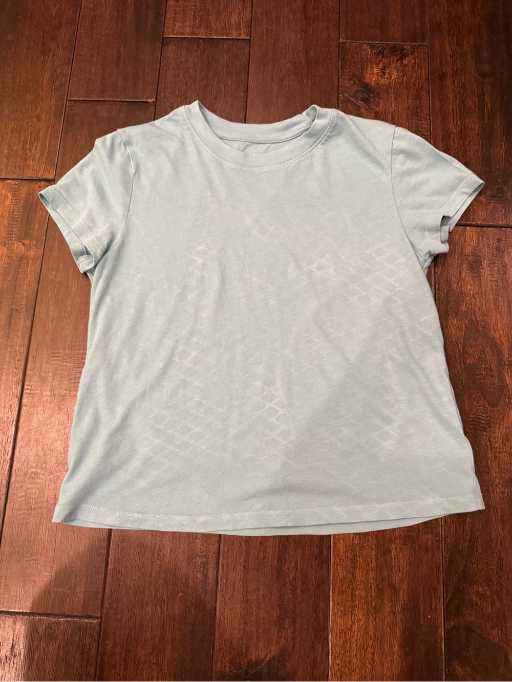 American Eagle Outfitters Crewneck Tee in Dusty Blue